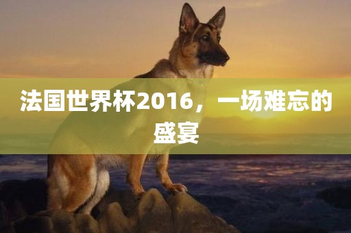 法国世界杯2016，一场难忘的盛宴