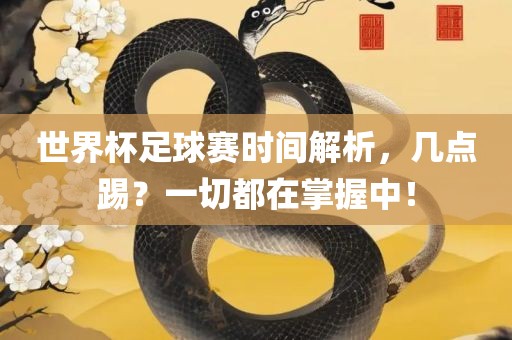 世界杯足球赛时间解析，几点踢？一切都在掌握中！