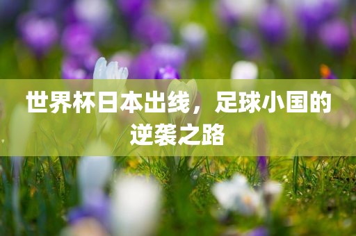 世界杯日本出线，足球小国的逆袭之路