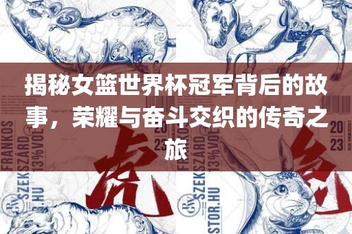 揭秘女篮世界杯冠军背后的故事，荣耀与奋斗交织的传奇之旅