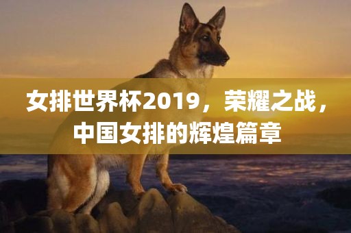 女排世界杯2019，荣耀之战，中国女排的辉煌篇章