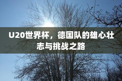 U20世界杯，德国队的雄心壮志与挑战之路