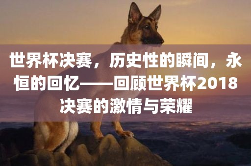 世界杯决赛，历史性的瞬间，永恒的回忆——回顾世界杯2018决赛的激情与荣耀