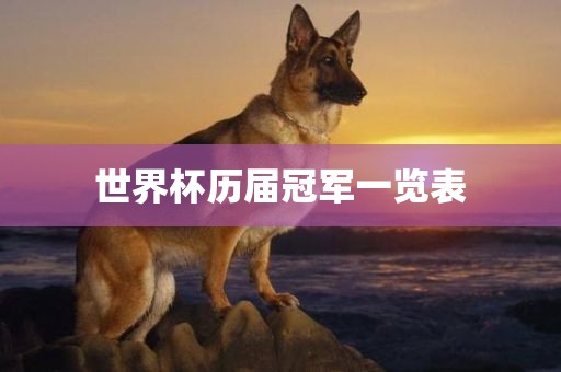 世眉山市正发家政服务有限公司界杯历届冠军一览表