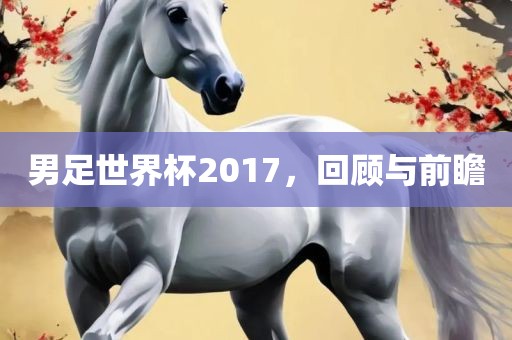 男足世界杯2017，回顾与前瞻