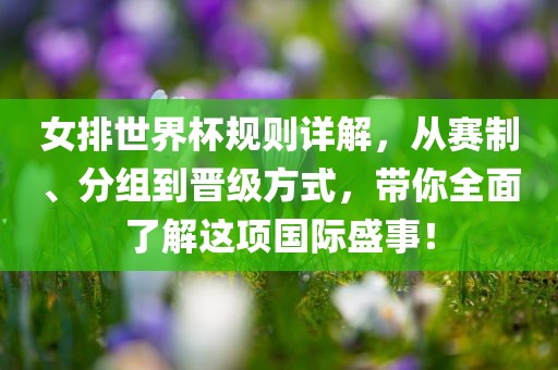 女排世界杯规则详解，从赛制、分组到晋级方式，带你全面了解这项国际盛事！