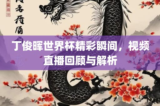 丁俊晖世界杯精彩瞬间，视频直播回顾与解析