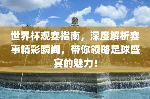 世界杯观赛指南，深度解析赛事精彩瞬间，带你领略足球盛宴的魅力！