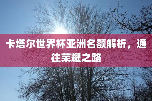 卡塔尔世界杯亚洲名额解析，通往荣耀之路