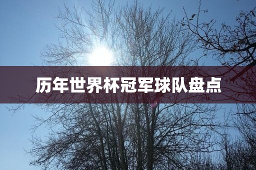 历年世界杯冠军球队盘点