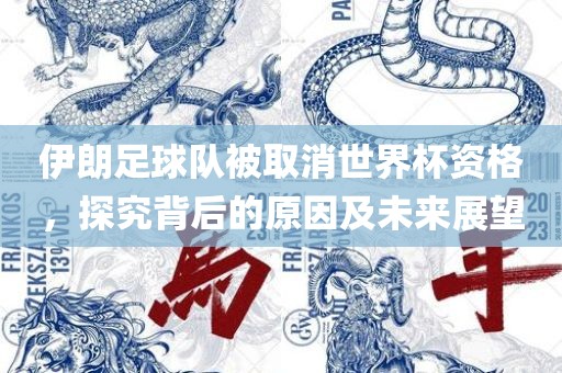 伊朗足球队被取消世界杯资格，探究背后的原因及未来展望