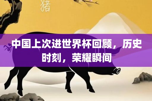 中国上次进世界杯回顾，历史时刻，荣耀瞬间