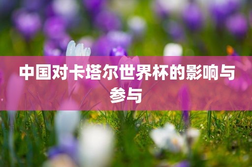 中国对卡塔尔世界杯的影响与参与
