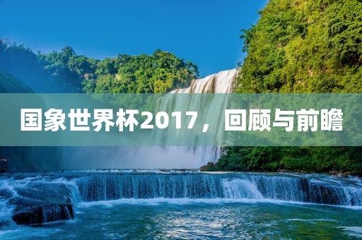 国象世界杯2017，回顾与前瞻