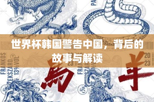世界杯韩国警告中国，背后的故事与解读