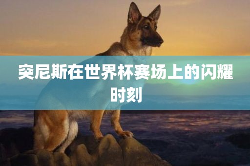 突尼斯在世界杯赛场上的闪耀时刻