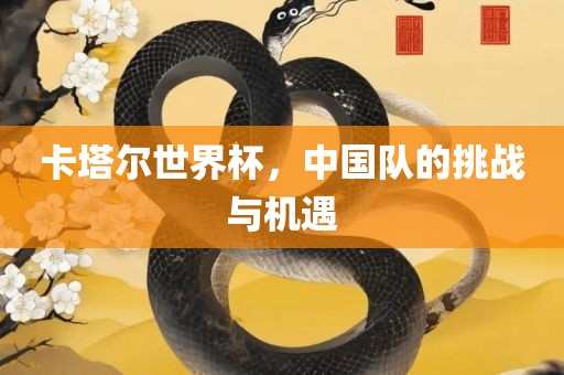 卡塔尔世界杯，中国队的挑战与机遇