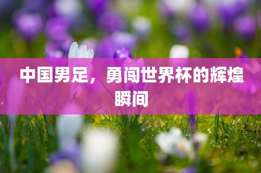 中国男足，勇闯世界杯的辉煌瞬间