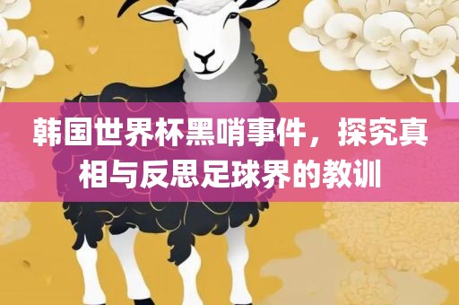 韩国世界杯黑哨事件，探究真相与反思足球界的教训