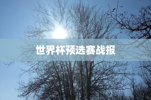 世界杯预选赛战报