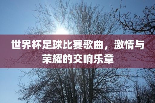 世界杯足球比赛歌曲，激情与荣耀的交响乐章