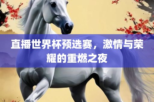 直播世界杯预选赛，激情与荣耀的重燃之夜