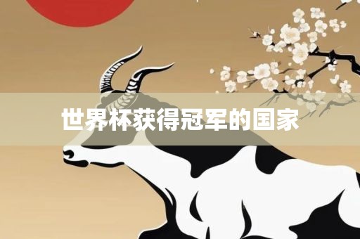 世界杯获得冠军的国家