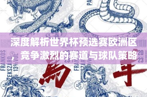 深度解析世界杯预选赛欧洲区，竞争激烈的赛道与球队策略