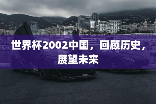 世界杯2002中国，回顾历史，展望未来