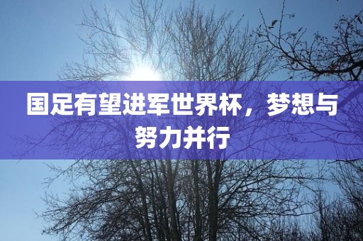 国足有望进军世界杯，梦想与努力并行