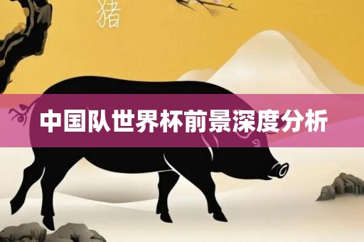 中国队世界杯前景深度分析