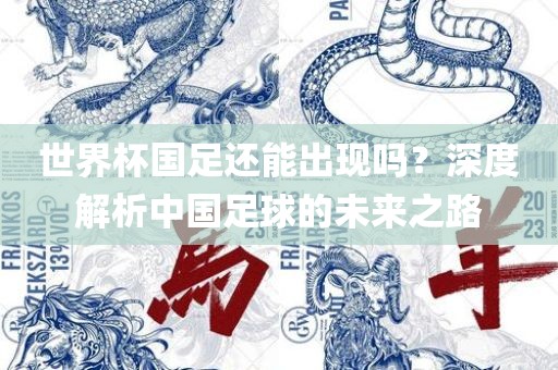 世界杯国足还能出现吗？深度解析中国足球的未来之路