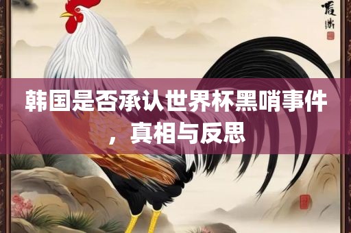 韩国是否承认世界杯黑哨事件，真相与反思