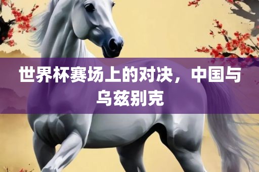 世界杯赛场上的对决，中国与乌兹别克