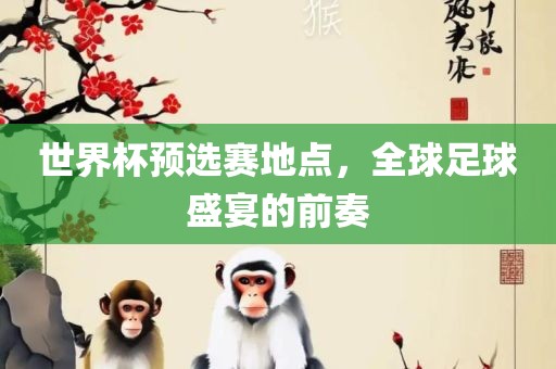 世界杯预选赛地点，全球足球盛宴的前奏