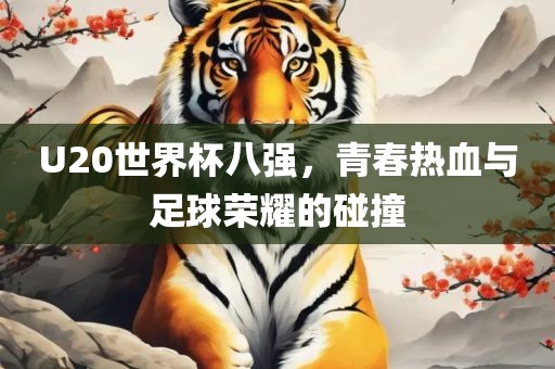 U20世界杯八强，青春热血与足球荣耀的碰撞
