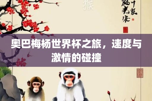 奥巴梅杨世界杯之旅，速度与激情的碰撞