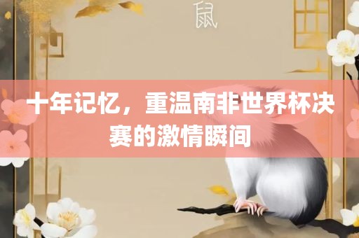 十年记忆，重温南非世界杯决赛的激情瞬间