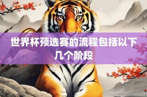 世界杯预选赛的流程包括以下几个阶段