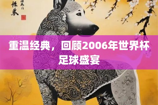 重温经典，回顾2006年世界杯足球盛宴眉山市正发家政服务有限公司