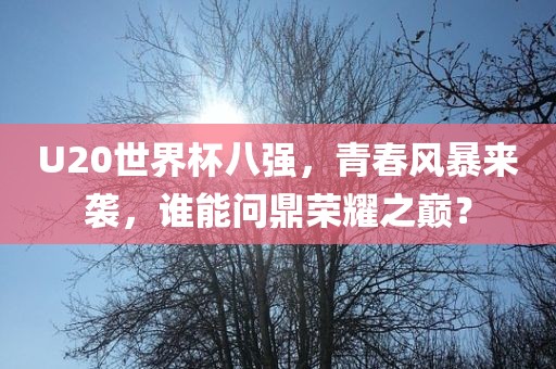 U20世界杯八强，青春风暴来袭，谁能问鼎荣耀之巅？