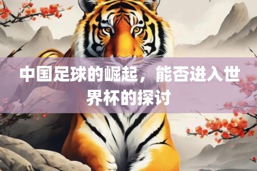 中国足球的崛起，能否进入世界杯的探讨