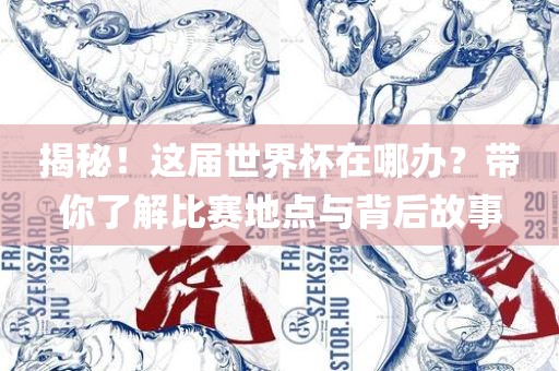 揭秘！这届世界杯在哪办？带你了解比赛地点与背后故事