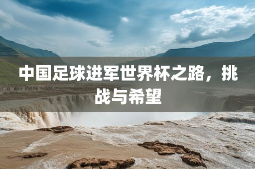 中国足球进军世界杯之路，挑战与希望