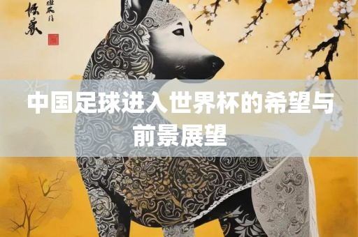 中国足球进入世界杯的希望与前景展望