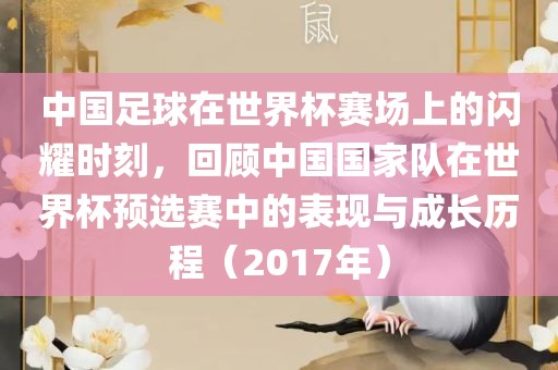中国足球在世界杯赛场上的闪耀时刻，回顾中国国家队在世界杯预选赛中的表现与成长历程（2017年）眉山市正发家政服务有限公司