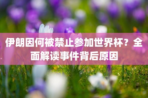 伊朗因何被禁止参加世界杯？全面解读事件背后原因
