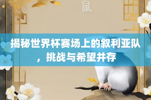 揭秘世界杯赛场上的叙利亚队，挑战与希望并存