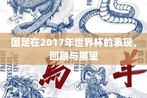 国足在2017年世界杯的表现，回顾与展望