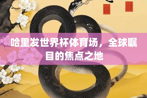 哈里发世界杯体育场，全球瞩目的焦点之地